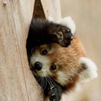 profil du parrain Djoulaye49