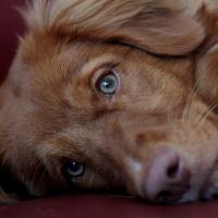 profil du parrain alexisg79