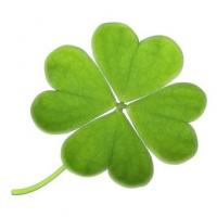 profil du parrain Sherine1410