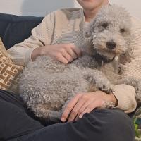 profil du parrain Sofy