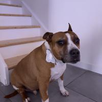 profil du parrain Jackson