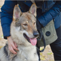 profil du parrain Reda