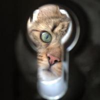 profil du parrain MTK75