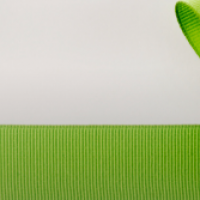 profil du parrain Aure