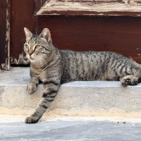 profil du parrain Clem⭐