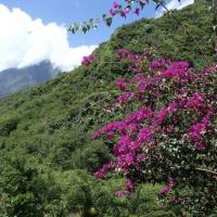 profil du parrain raphroud