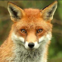 profil du parrain Lamaraude57