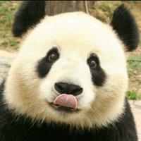 profil du parrain Marion7795