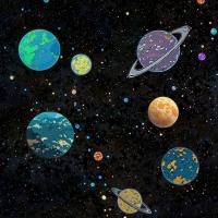 profil du parrain Honaiahaka