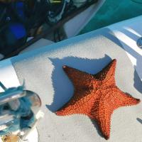 profil du parrain Jidarna