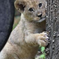 profil du parrain bubulle42