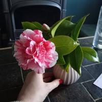 profil du parrain Masaanaga