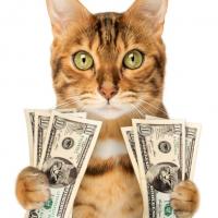 profil du parrain 14086880