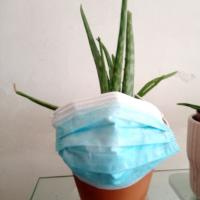 profil du parrain yomyom