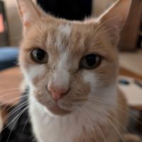 profil du parrain Mimi l.